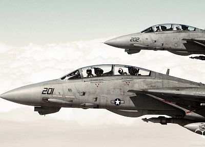 самолет, самолеты, F-14 Tomcat - обои на рабочий стол