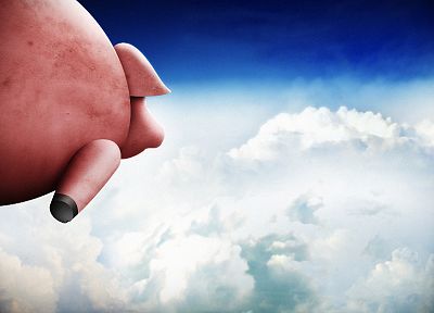 облака, когда свиньи летают - случайные обои для рабочего стола