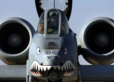 самолет, военный, А-10 Thunderbolt II, нос искусство - обои на рабочий стол