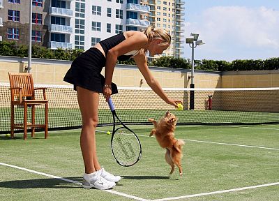 блондинки, девушки, собаки, Мария Шарапова, теннисный корт, теннисные ракетки - оригинальные обои рабочего стола