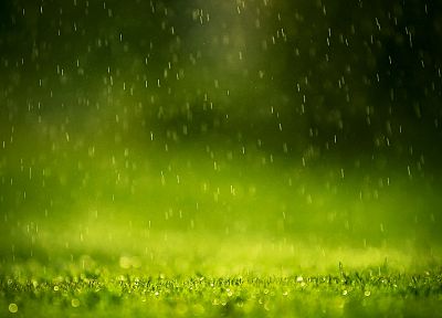 зеленый, дождь, капли воды - обои на рабочий стол
