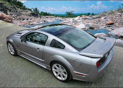 мышцы автомобилей, Saleen, живописный, крыши, 2006 - случайные обои для рабочего стола