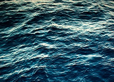 вода, океан, синий морфо, море - обои на рабочий стол