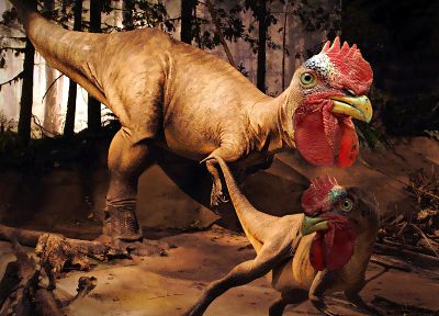 динозавры, куры - похожие обои для рабочего стола