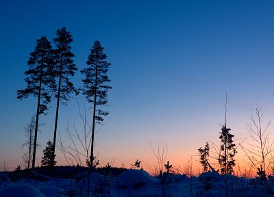 закат, зима, леса, голубое небо - обои на рабочий стол