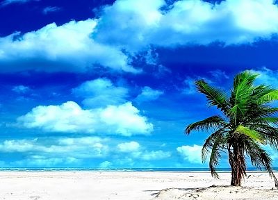 облака, песок, острова, пальмовые деревья, пляжи - копия обоев рабочего стола
