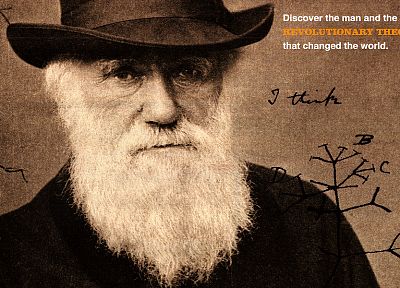 Дарвин, борода - обои на рабочий стол