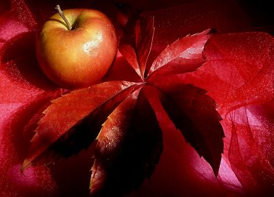 листья, украшение, яблоки, украшения - обои на рабочий стол