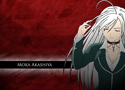 вампиры, Akashiya Мока, белые волосы, Розарио Вампир - копия обоев рабочего стола