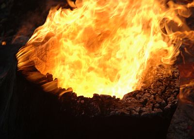 огонь, лесной пожар - копия обоев рабочего стола