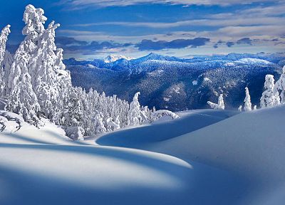 горы, природа, зима, снег, деревья - оригинальные обои рабочего стола