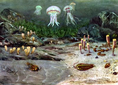картины, медуза, актинии, доисторический, морская, Зденек Буриан - похожие обои для рабочего стола