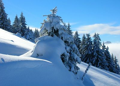 горы, природа, снег, леса, зимние пейзажи - случайные обои для рабочего стола