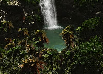 тропический, рай, пальмовые деревья, водопады - обои на рабочий стол