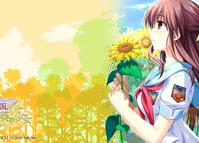 девушки, природа, цветы, школьная форма, аниме, Шарин Нет Куни Himawari Нет Shoujo - обои на рабочий стол