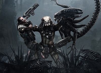 видеоигры, хищник, США морской пехоты, Aliens Vs Predator фильма, сражения, Чужой - случайные обои для рабочего стола