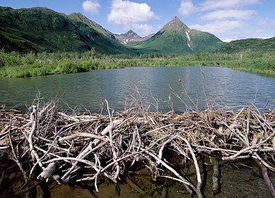 Аляска, плотина, парки - копия обоев рабочего стола