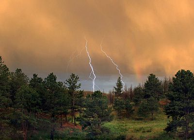 природа, деревья, леса, буря, молния - похожие обои для рабочего стола