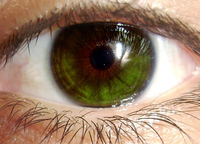 зеленый, крупный план, глаза - случайные обои для рабочего стола