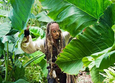 люди, растения, Пираты Карибского моря, Джонни Депп - случайные обои для рабочего стола