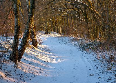 природа, снег, леса, зимние пейзажи - обои на рабочий стол