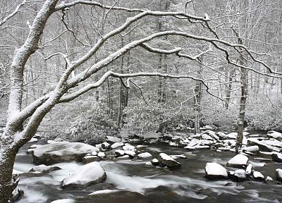 горы, зима, Теннесси, Национальный парк - случайные обои для рабочего стола