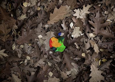 многоцветный, Эппл (Apple), листья, опавшие листья - случайные обои для рабочего стола