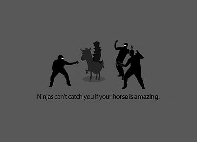 ниндзя, ниндзя не могу поймать вас , если, лошади - оригинальные обои рабочего стола