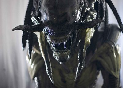 Aliens Vs Predator фильма, Иностранцы кино, Иностранцы - оригинальные обои рабочего стола