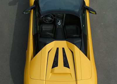 автомобили, транспортные средства, Lamborghini Murcielago - копия обоев рабочего стола