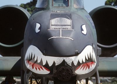самолет, военный, транспортные средства, А-10 Thunderbolt II, нос искусство - оригинальные обои рабочего стола