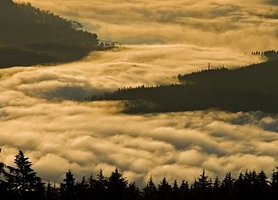 туман, Британская Колумбия - обои на рабочий стол