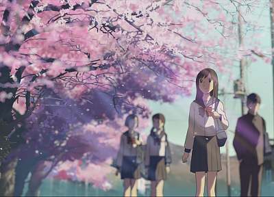 вишни в цвету, школа, Макото Синкай, живописный, 5 сантиметров в секунду, произведение искусства, аниме - случайные обои для рабочего стола