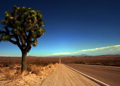 деревья, пустыня, дороги, Joshua Tree - обои на рабочий стол