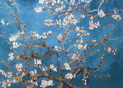 цветы, Винсент Ван Гог, произведение искусства, миндаль - случайные обои для рабочего стола