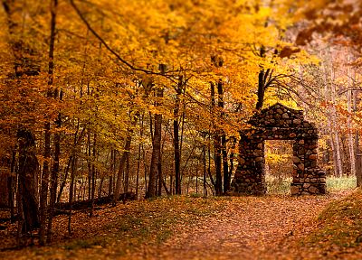 пейзажи, природа, деревья, осень, желтый цвет, леса, поля, камни, ворота, тропа - обои на рабочий стол