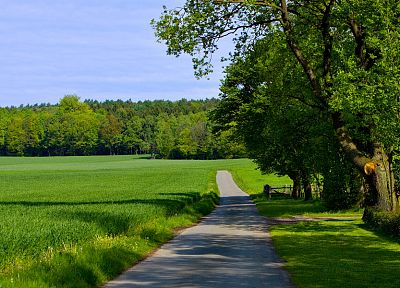 зеленый, природа, деревья, трава, пути, дороги - оригинальные обои рабочего стола