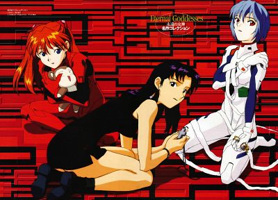 Ayanami Rei, Neon Genesis Evangelion (Евангелион), Кацураги Мисато, Аска Лэнгли Сорю, аниме, аниме девушки - копия обоев рабочего стола