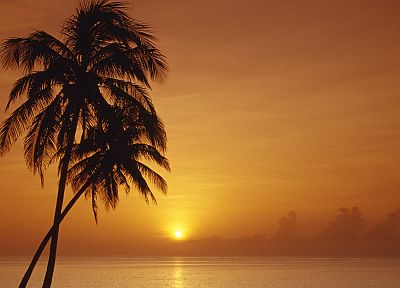 закат, оранжевый цвет, Куба, пальмовые деревья - случайные обои для рабочего стола