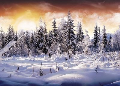 пейзажи, зима, снег, деревья, зимние пейзажи - обои на рабочий стол