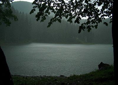деревья, дождь, озера - оригинальные обои рабочего стола