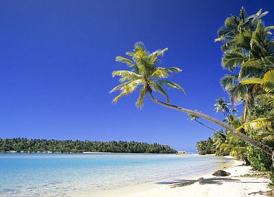 Солнце, песок, острова Кука, пальмовые деревья - оригинальные обои рабочего стола