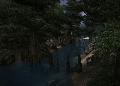 видеоигры, The Elder Scrolls IV: Oblivion - случайные обои для рабочего стола