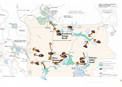буйвол, карты, инфографика, коренные американцы, миграция - похожие обои для рабочего стола