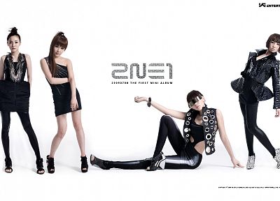2NE1, Дара, Minzy, Пак Бом, K-Pop, CL ( певица ), белый фон - похожие обои для рабочего стола