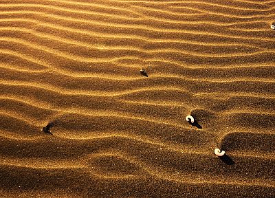 природа, песок, пустыня, макро - оригинальные обои рабочего стола