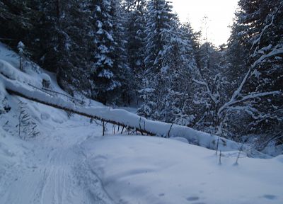 зима, снег, дерево, Италия, Альпы, Kronplatz - случайные обои для рабочего стола