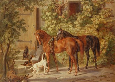 природа, животные, лошади - оригинальные обои рабочего стола