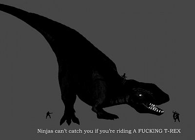ниндзя, ниндзя не могу поймать вас , если, Tyrannosaurus Rex - случайные обои для рабочего стола