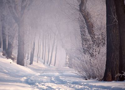 снег, деревья, пути - копия обоев рабочего стола